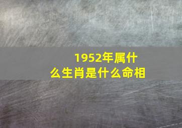 1952年属什么生肖是什么命相