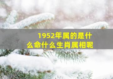 1952年属的是什么命什么生肖属相呢