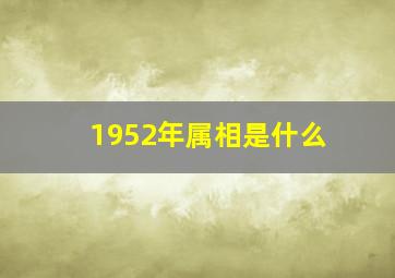 1952年属相是什么