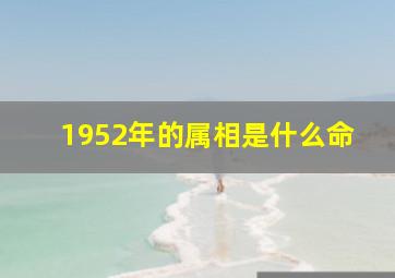 1952年的属相是什么命