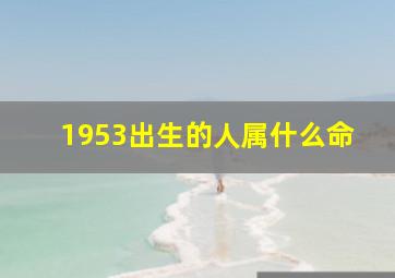 1953出生的人属什么命