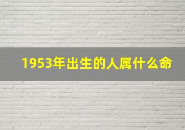 1953年出生的人属什么命