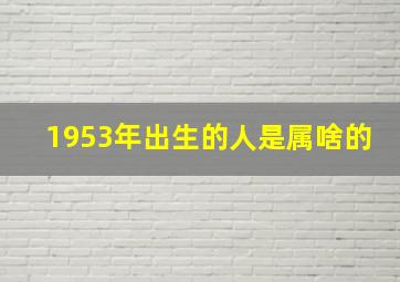 1953年出生的人是属啥的