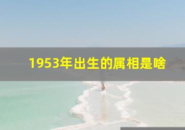 1953年出生的属相是啥