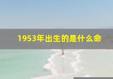 1953年出生的是什么命