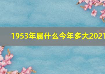 1953年属什么今年多大2021