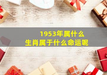 1953年属什么生肖属于什么命运呢