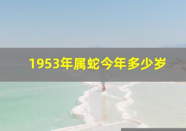 1953年属蛇今年多少岁