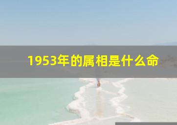 1953年的属相是什么命