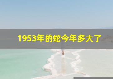 1953年的蛇今年多大了