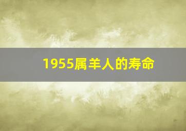 1955属羊人的寿命