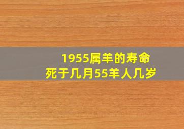 1955属羊的寿命死于几月55羊人几岁