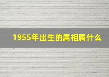 1955年出生的属相属什么