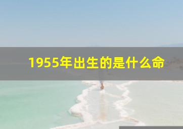 1955年出生的是什么命