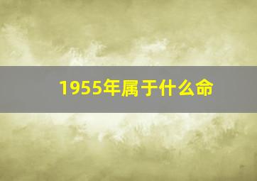 1955年属于什么命