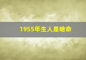 1955年生人是啥命