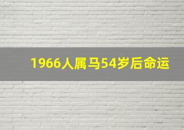 1966人属马54岁后命运