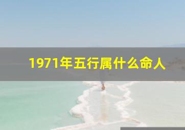 1971年五行属什么命人