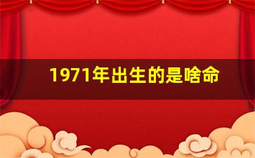 1971年出生的是啥命