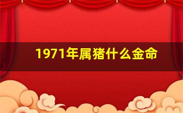 1971年属猪什么金命