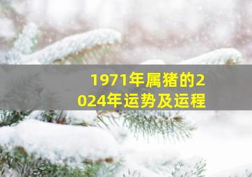 1971年属猪的2024年运势及运程