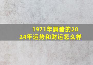 1971年属猪的2024年运势和财运怎么样