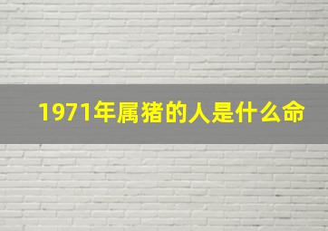 1971年属猪的人是什么命