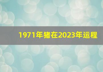 1971年猪在2023年运程