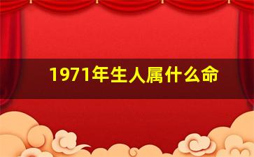 1971年生人属什么命