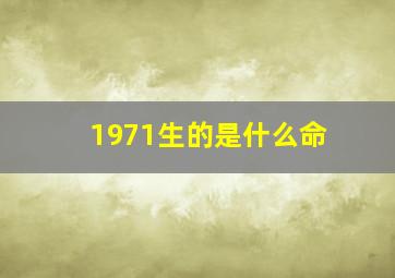 1971生的是什么命