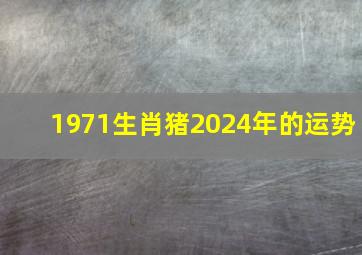 1971生肖猪2024年的运势