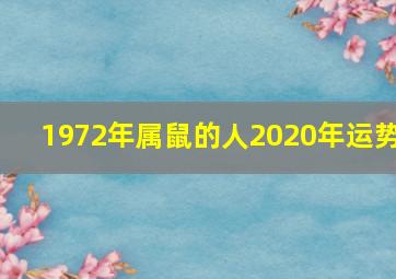 1972年属鼠的人2020年运势