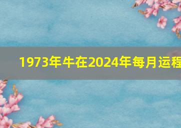 1973年牛在2024年每月运程