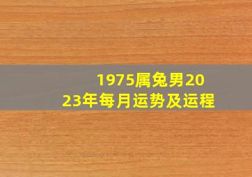 1975属兔男2023年每月运势及运程