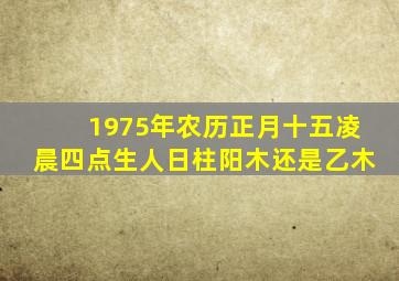 1975年农历正月十五凌晨四点生人日柱阳木还是乙木