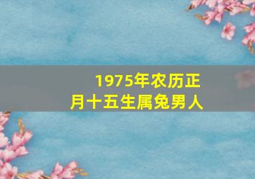 1975年农历正月十五生属兔男人