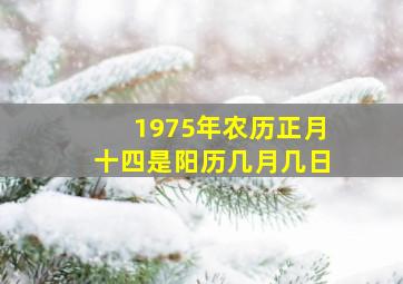 1975年农历正月十四是阳历几月几日