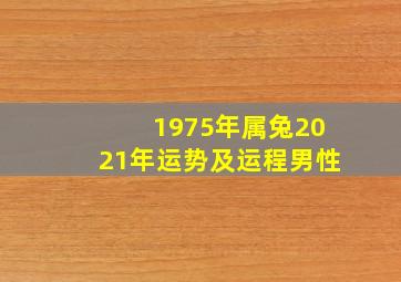 1975年属兔2021年运势及运程男性