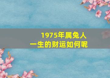 1975年属兔人一生的财运如何呢