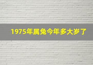 1975年属兔今年多大岁了