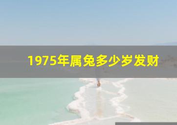 1975年属兔多少岁发财