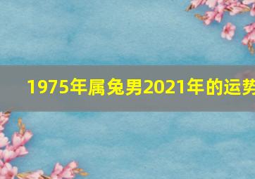 1975年属兔男2021年的运势