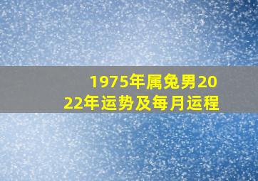 1975年属兔男2022年运势及每月运程