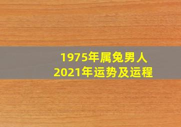 1975年属兔男人2021年运势及运程