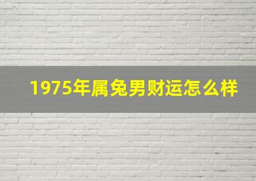 1975年属兔男财运怎么样