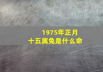 1975年正月十五属兔是什么命