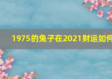 1975的兔子在2021财运如何