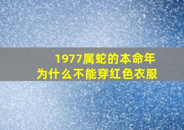 1977属蛇的本命年为什么不能穿红色衣服