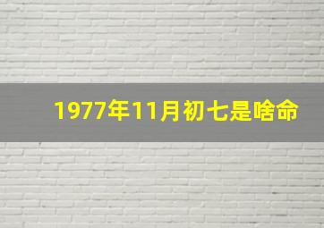 1977年11月初七是啥命