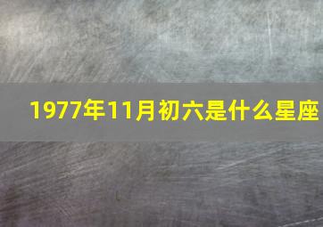 1977年11月初六是什么星座